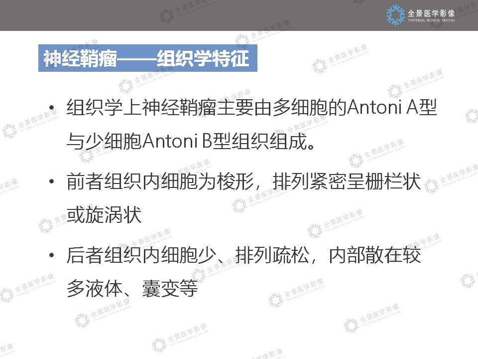 组合 3_页面_12