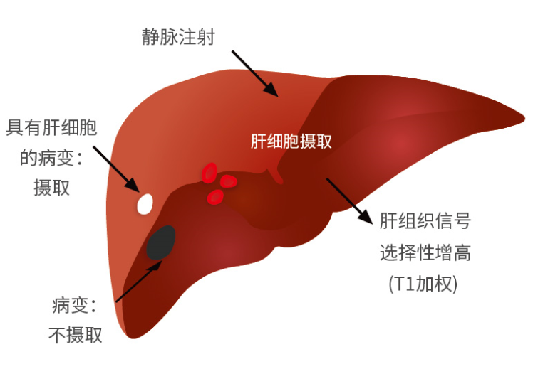 微信图片_20200827120151