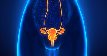 女性防癌筛查有哪些 卵巢癌恶性程度高，早期发现是关键