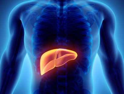 肝脏体位示意图
